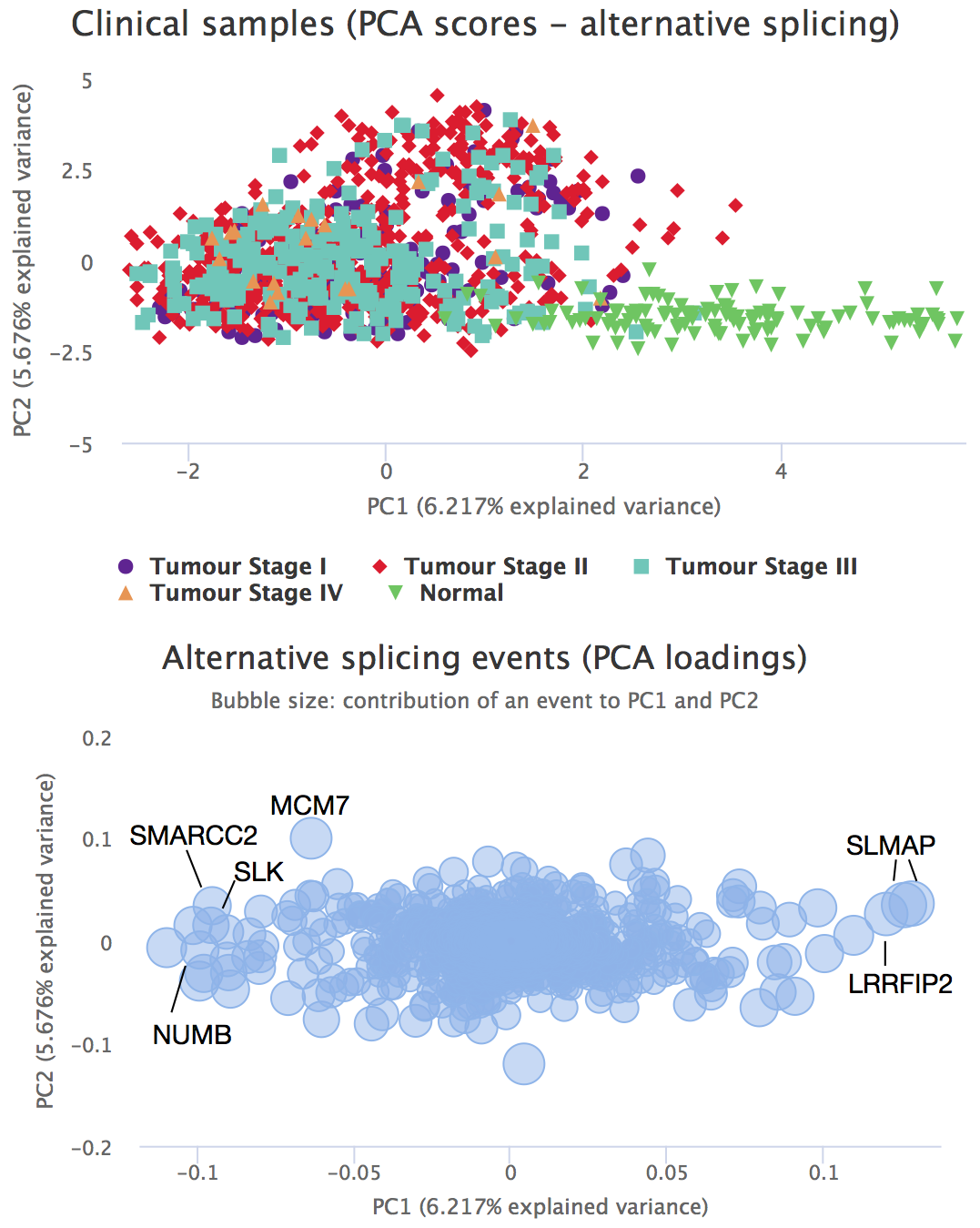 PCA score and loading plots